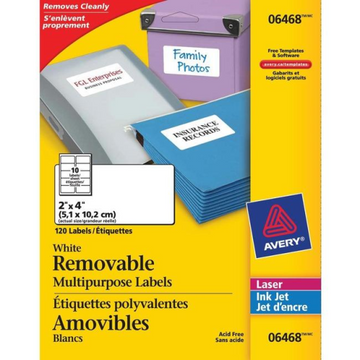 ID LABELS, 2" X 4", REMOVABLE, 12 SHEETS/ENV., 120 LABELS