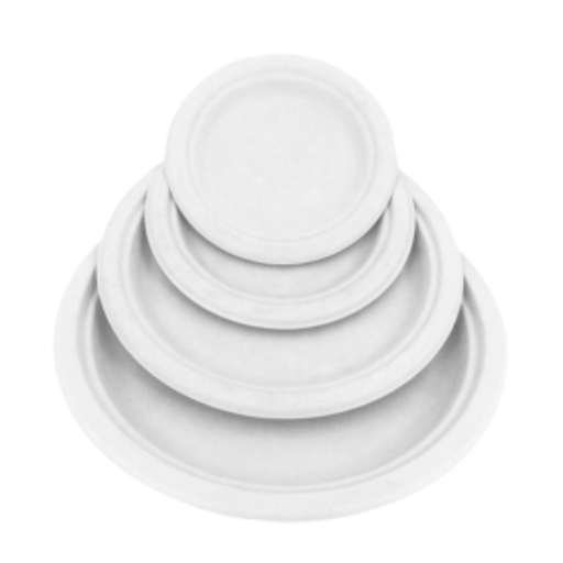 Compostable Round Plate - White / 10" (pack of 50)