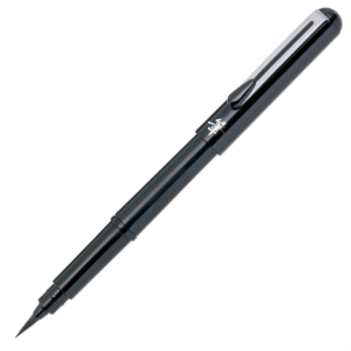 Pentel Arts Pocket Brush Pen Starter Set, Black Ink