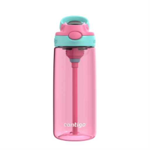 Contigo 20 oz Autospout Azalea w/ Jade Vine - Plastic