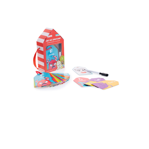 ABC Emotions Cards - Portable Activities - French Version