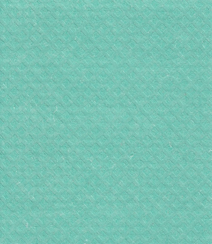 M2 SPGC-12103 – chiffon tout usage SPG vert